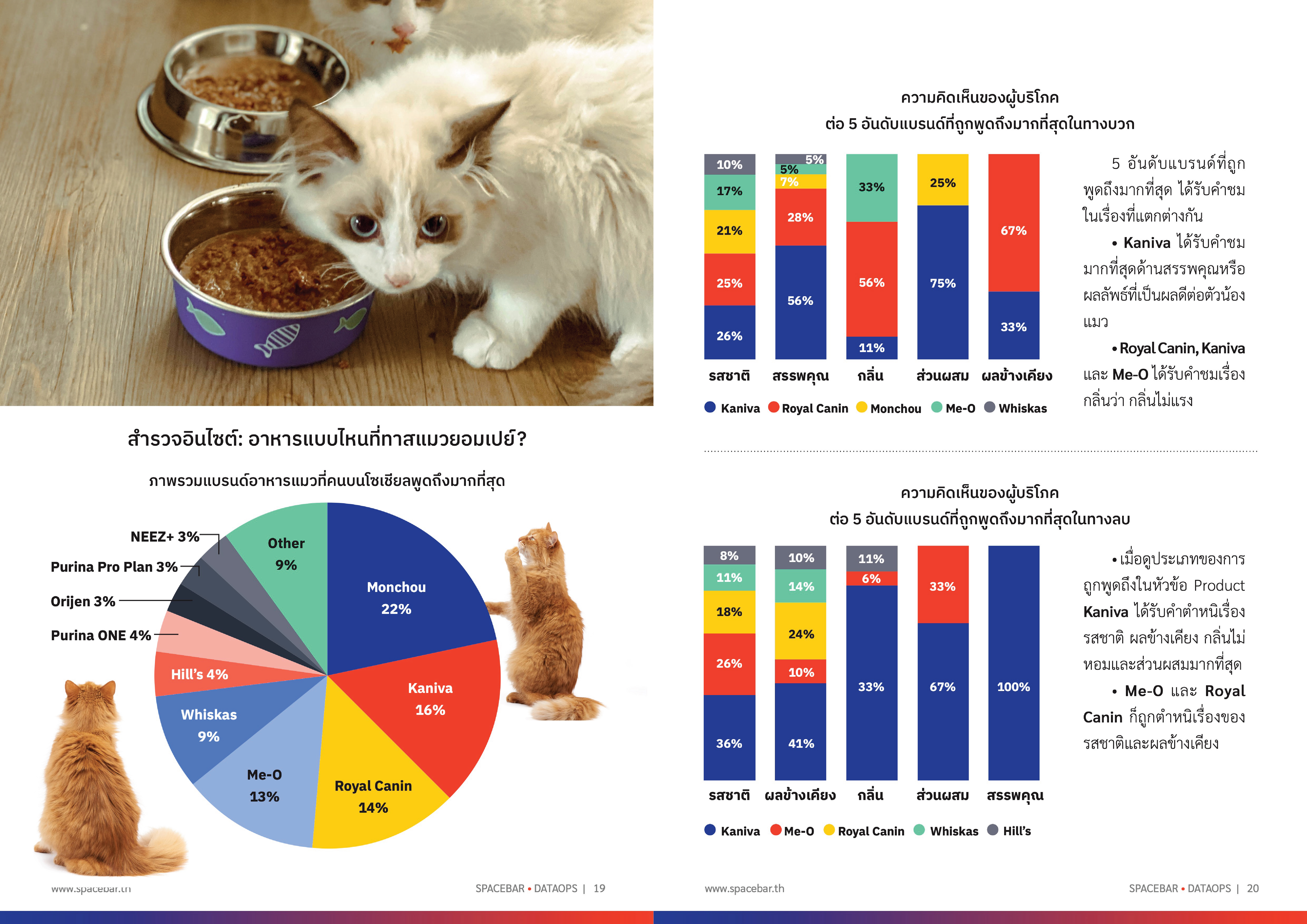 Whitepaper_Petaverse-Cat-01